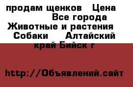 продам щенков › Цена ­ 15 000 - Все города Животные и растения » Собаки   . Алтайский край,Бийск г.